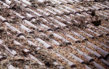 Folke roof cleaning companies